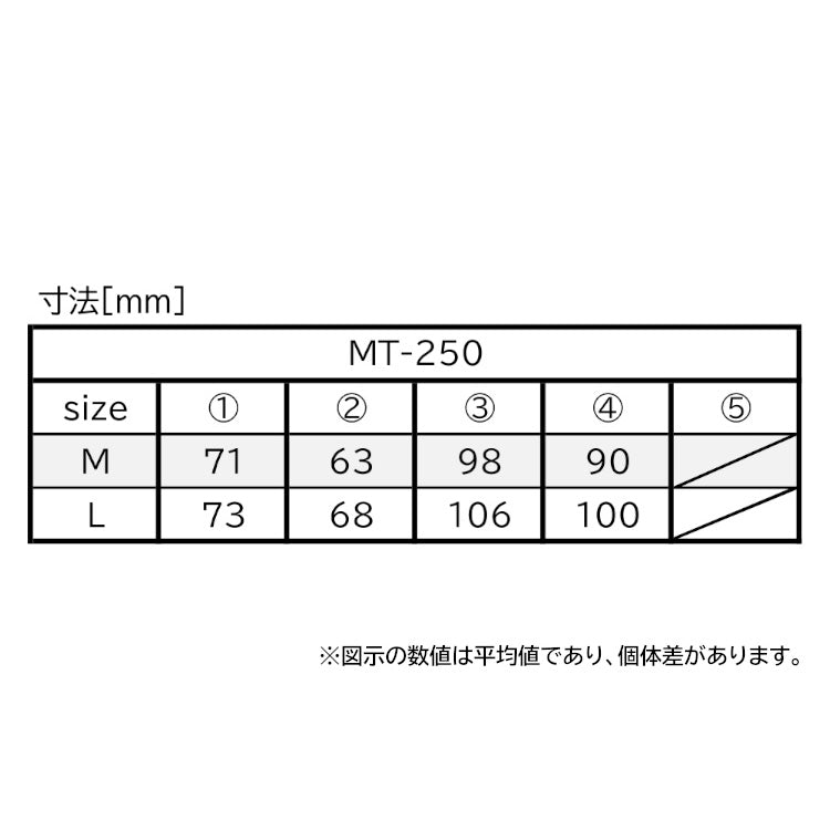MKS MT-250 (三ヶ島製作所 MT-250)