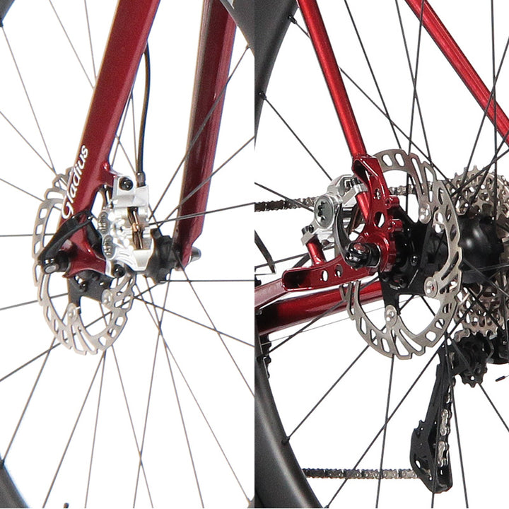 Greed Drop 2x12s Custom　（グリード ドロップ 2x12s -油圧ディスクブレーキ＆ゼフィルスカスタム- )