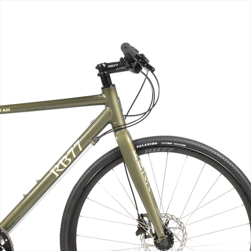 RB77 Amistad (アミスタット) -フラットバーカスタム-（オールカラー）