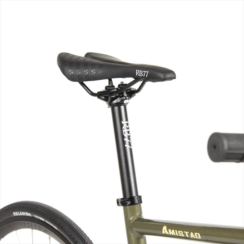RB77 Amistad (アミスタット) -フラットバーカスタム-（オールカラー）